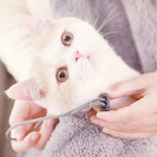 Huisdierrugzak voor honden en katten - Pluche dubbele schoudertas