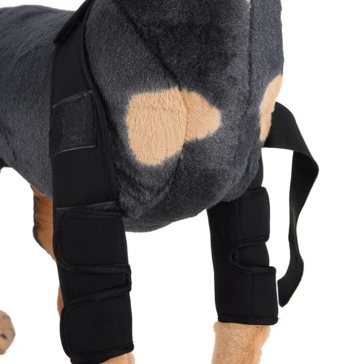 Kniebeschermer en helende mouw voor honden