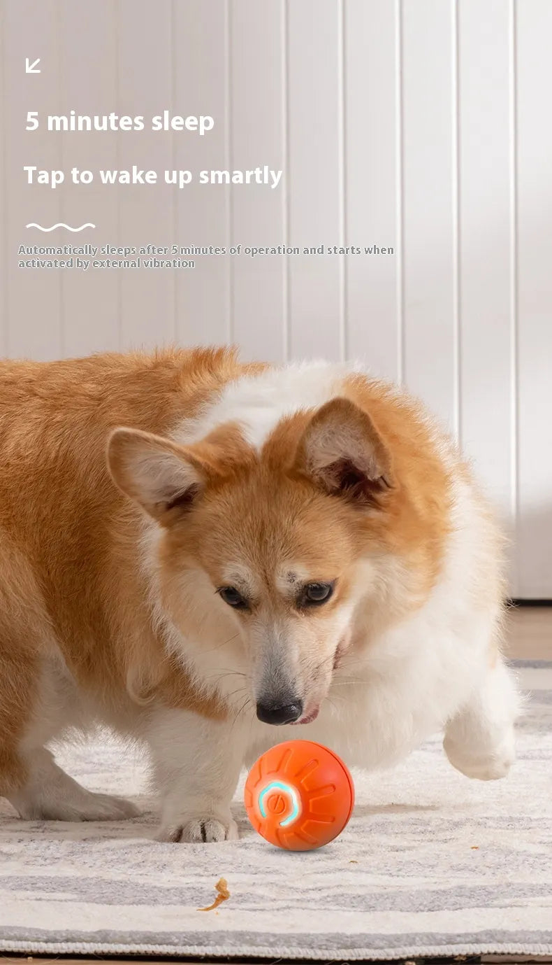 Smart Dog Toy Ball – Automatisch Rollend Hondspeelgoed