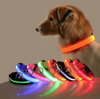 Glow Paw LED Veiligheidshalsband – Altijd Zichtbaar in het Donker