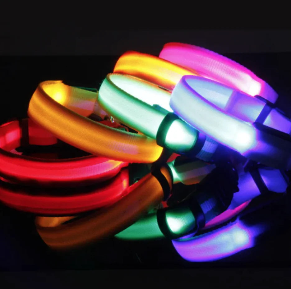 Glow Paw LED Veiligheidshalsband – Altijd Zichtbaar in het Donker